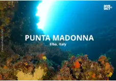 Punta Madonna in Marciana