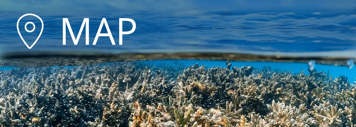 Finde Tauchspots aus dem Mittelmeer auf unserer Tauchkarte.