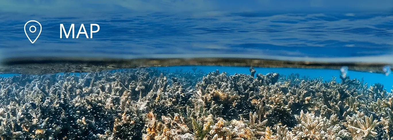 Finde Tauchspots aus dem Mittelmeer auf unserer Tauchkarte.