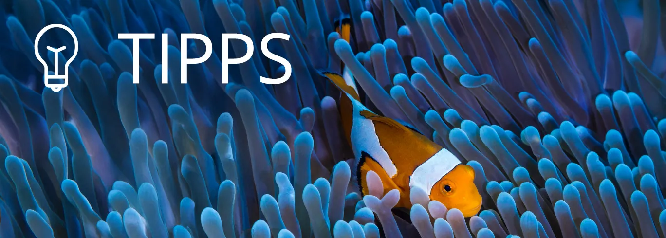 Du brauchst Tauchtips? Wir haben sie für dich!