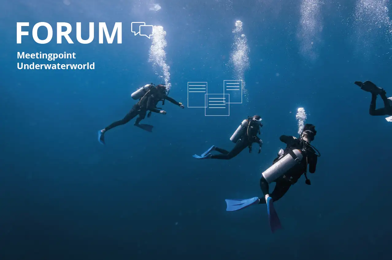 https://d15d9dzcxebnw7.cloudfront.net/homepage/blocks/144/en-mobile-divedict-tauchen-diving-unterwasser-fotographie-lexikon-lexicon-marine-biology-biologie-fische-rochen-delfine-turtle-dolphins-fish-mediterranean-red-sea-caribian-turtlemsnlO.webp