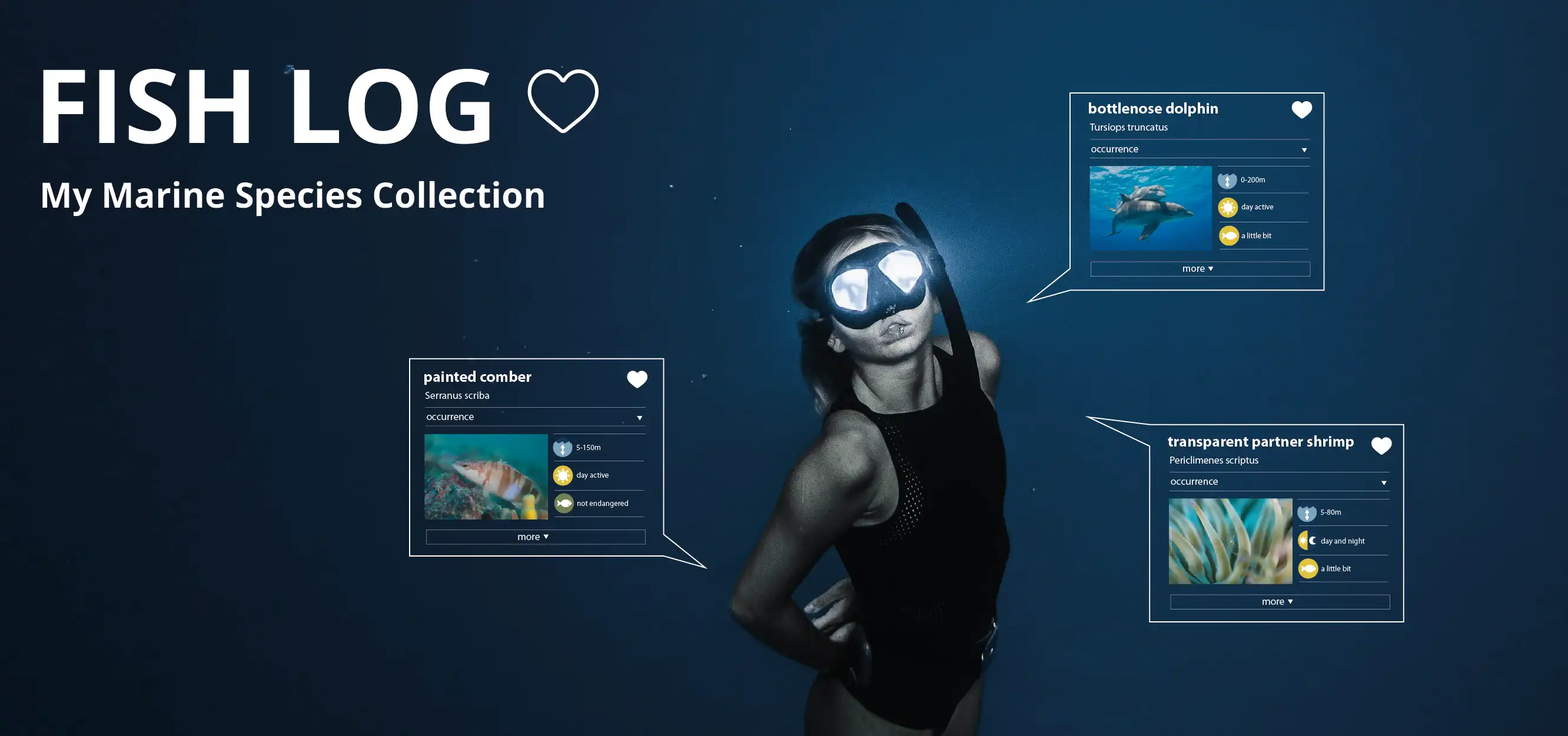 https://d15d9dzcxebnw7.cloudfront.net/homepage/blocks/145/en-fish-log-divedict-underwaterworld-marinescience-marinebiology-ocean-meer-mittelmeer-rotes-meerqWBdj.webp
