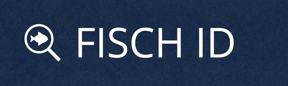 Wir helfen dir deine Meereslebewesen zu identifizieren!