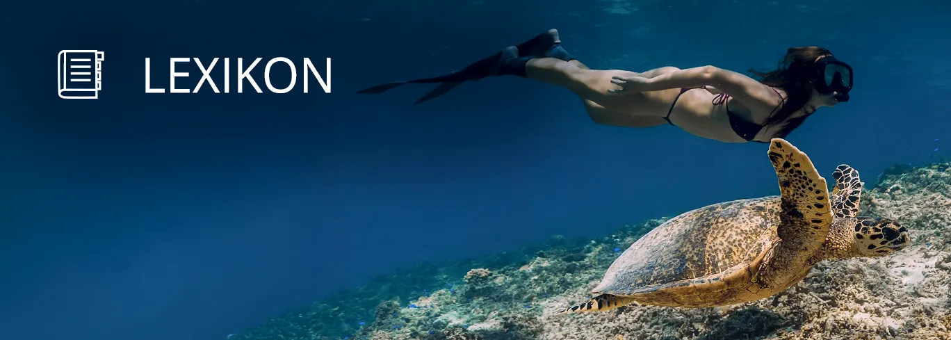 Find marine life in our lexicon!