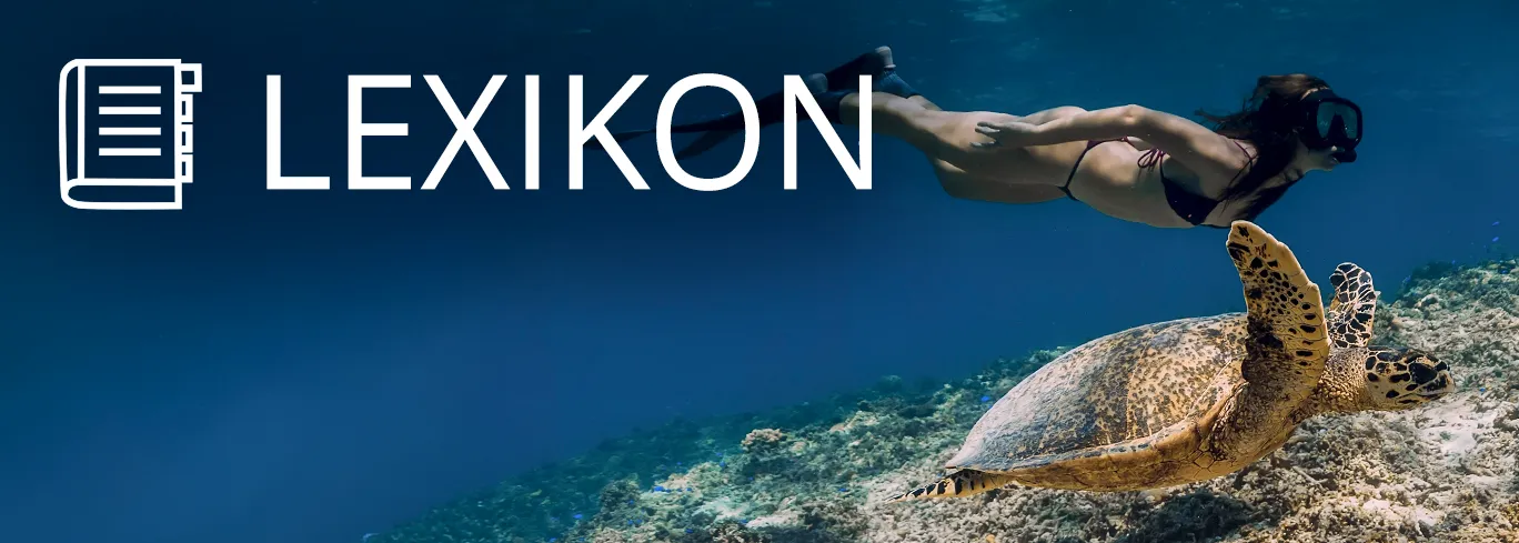 Find marine life in our lexicon!