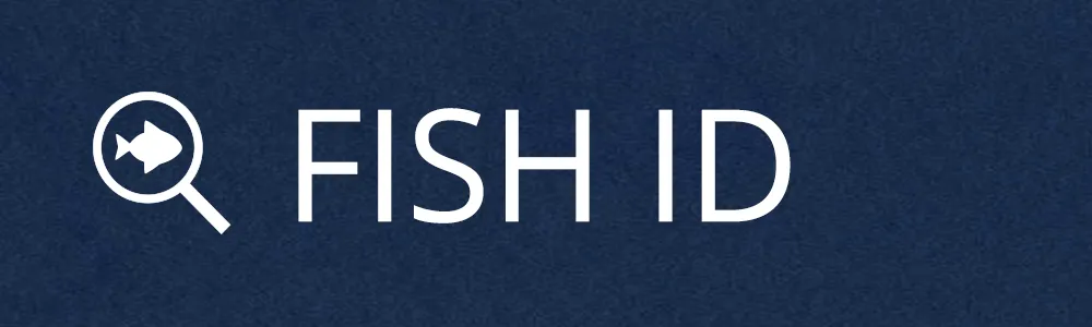 We help you identify your fish photos!