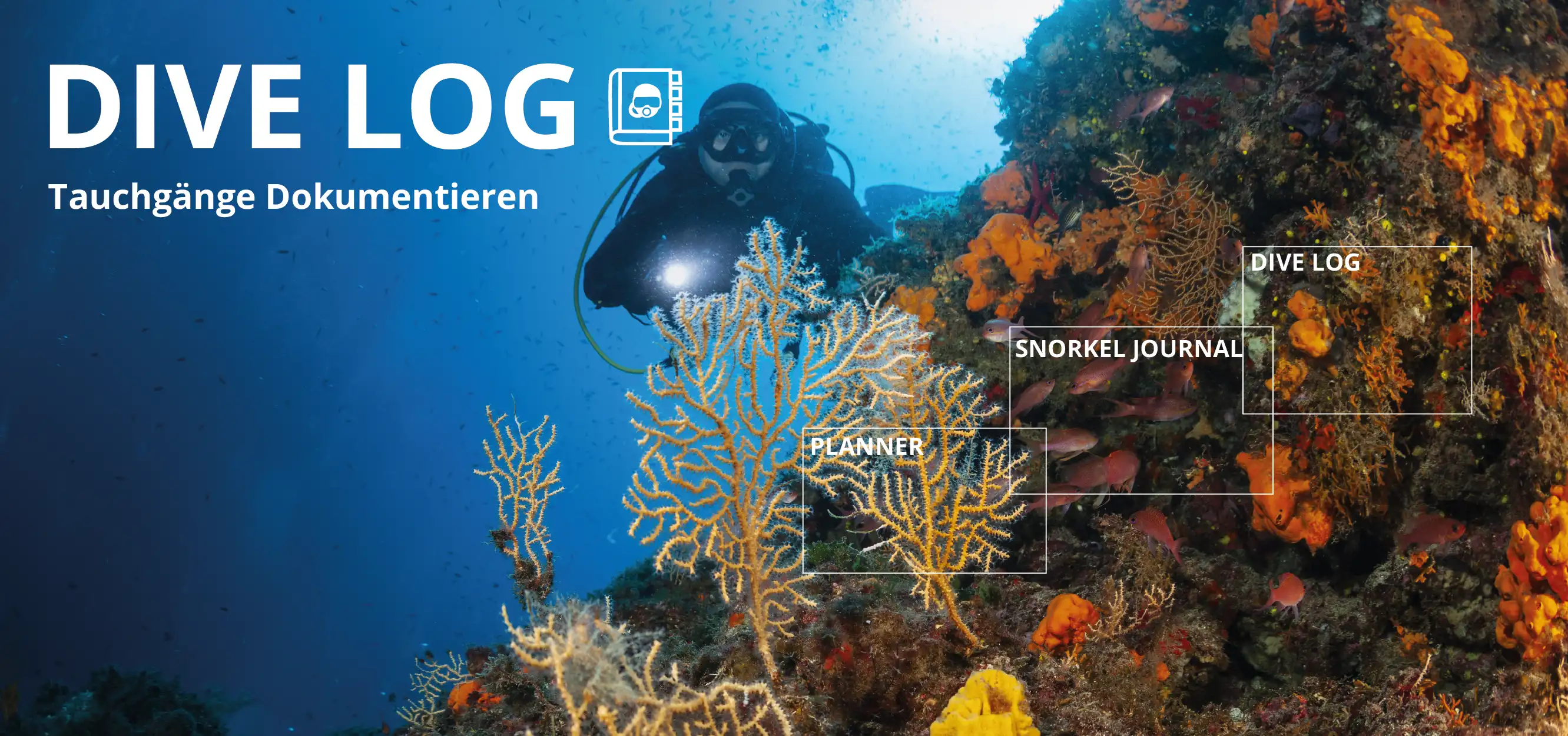 https://d15d9dzcxebnw7.cloudfront.net/homepage/blocks/19/de-dive-log-divedict-underwaterworld-marinescience-marinebiology-ocean-meer-mittelmeer-rotes-meerMutJr.webp