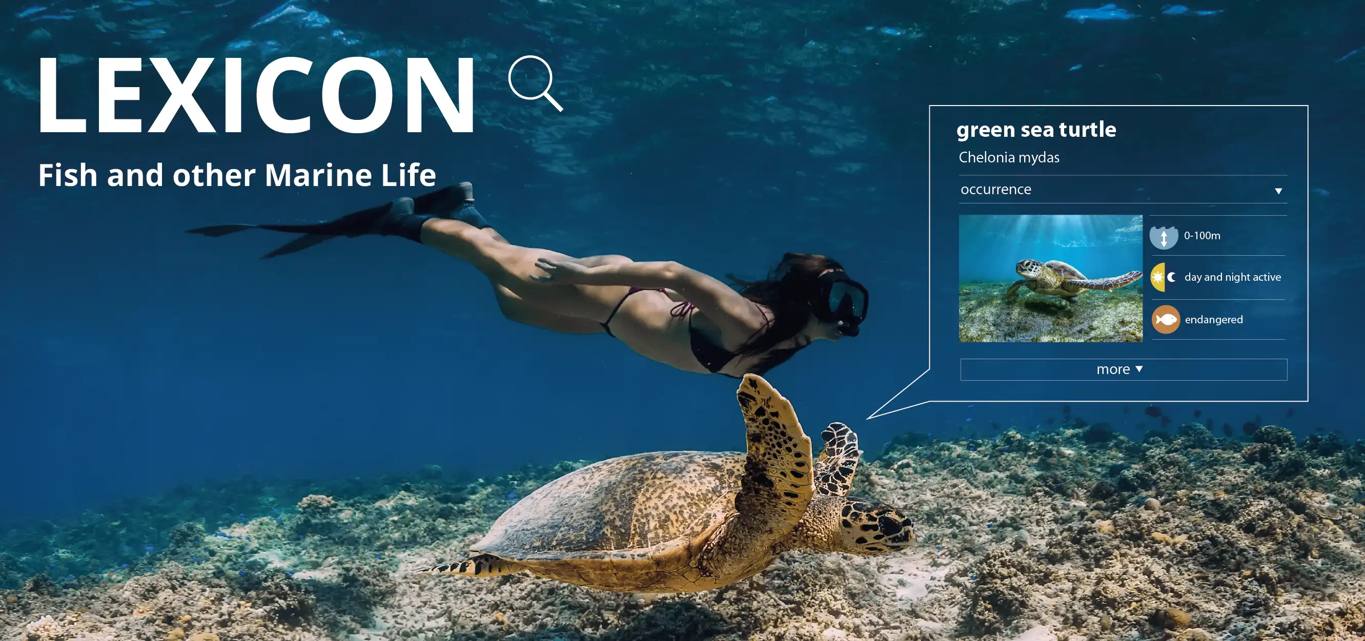 https://d15d9dzcxebnw7.cloudfront.net/homepage/blocks/5/en-lexikon-divedict-underwaterworld-marinescience-marinebiology-ocean-meer-mittelmeer-rotes-meerQZnHL.webp