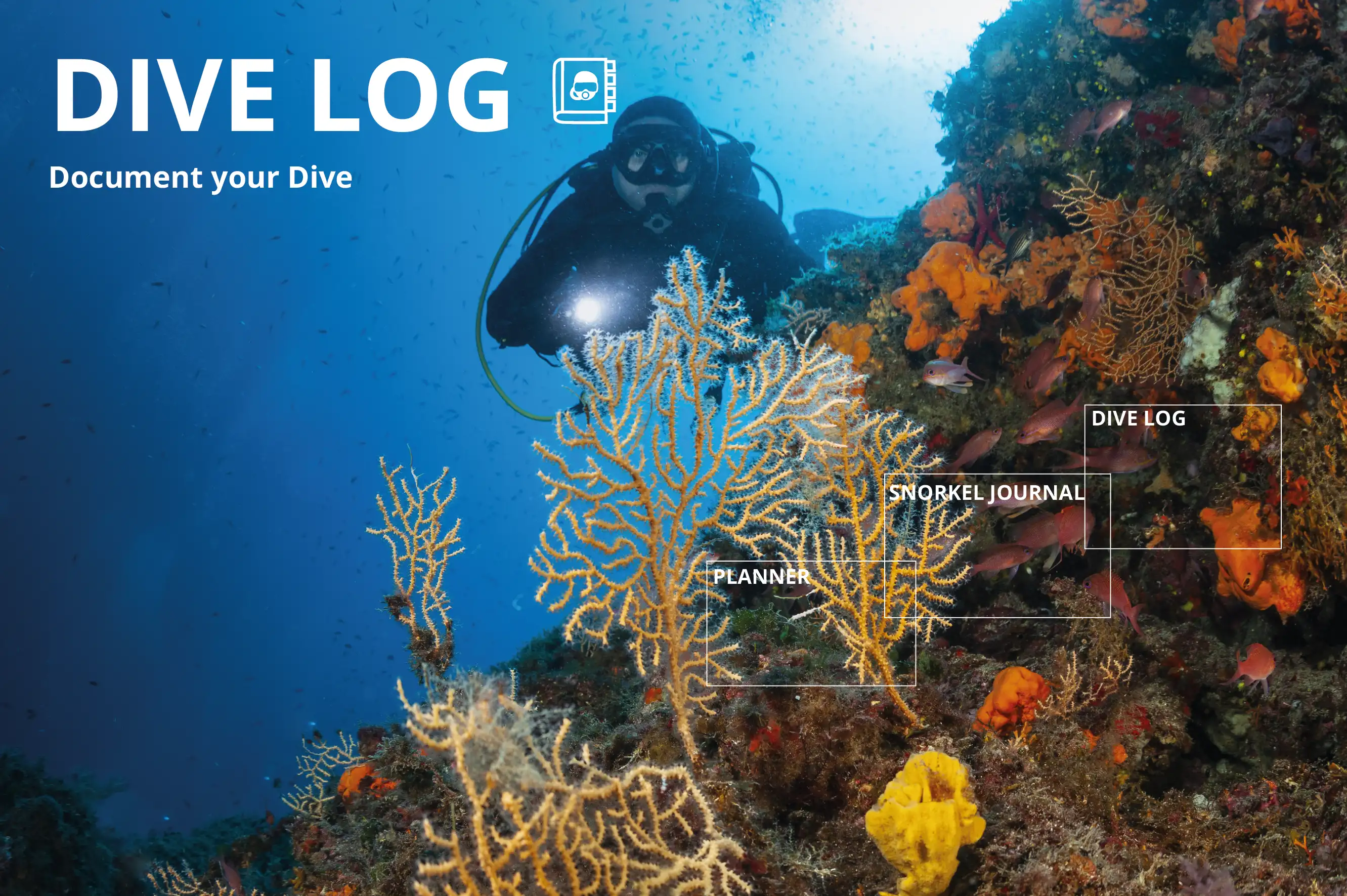 https://d15d9dzcxebnw7.cloudfront.net/homepage/blocks/97/en-divelog-fish-findfish-marine-environmentqOWyS.webp